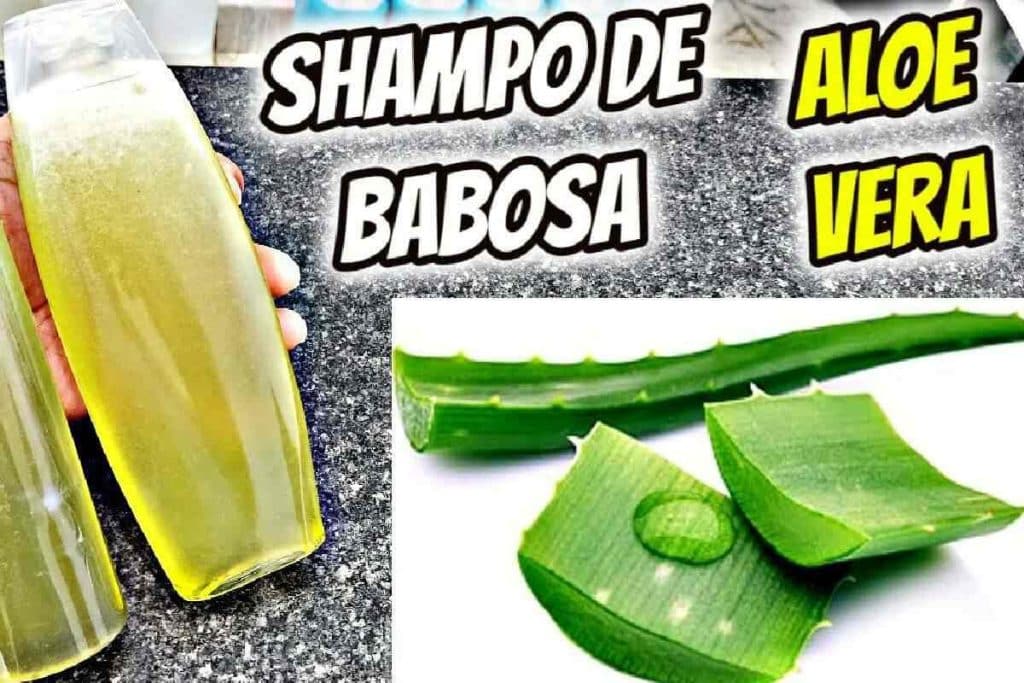 Shampoo de babosa caseiro